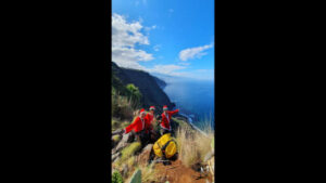 Felices Fiestas NaturExperiences