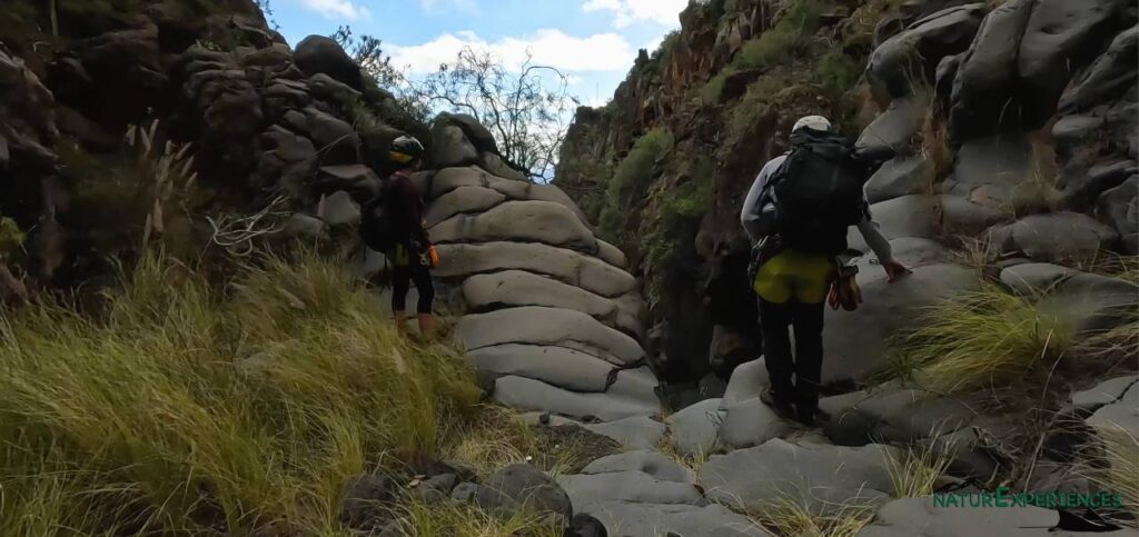 Reunión del R3 - NaturExperiences