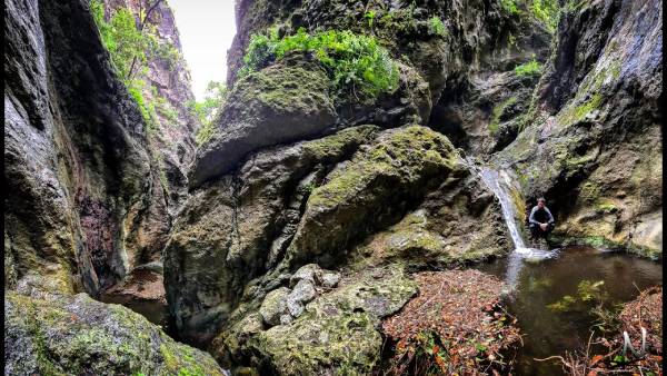 Caminata por el barranco de los Cochinos NaturExperiences