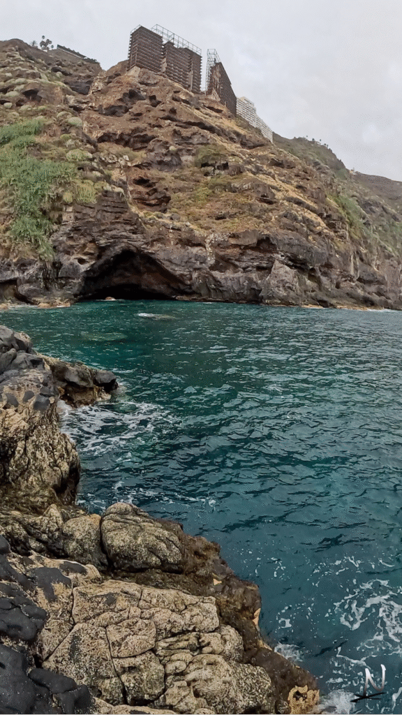 Costa del Sauzal, Tenerife NaturExperiences