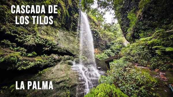 Cascada de los Tilos, La Palma NaturExperiences Blog