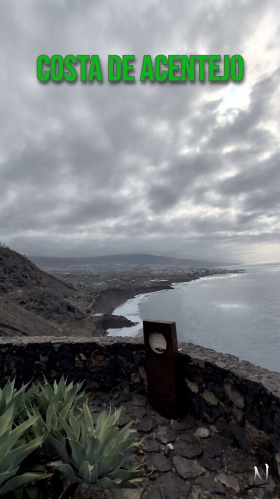 Mirador de la Mancha, Tenerife - NaturExperiences Blog