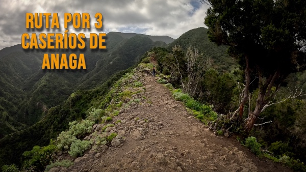 Sendero Afur - Taborno - Las Carboneras NaturExperiences