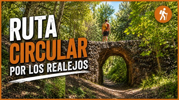 Ruta circular por los Realejos NaturExperience - Blog
